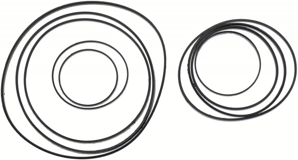 SRAM Kass.ritzel-Ring Set SRAM XG-1391 Red E1 XPLR, für 10-46 Zähne, Dämpferringe