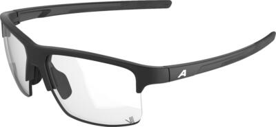 Alpina EAGLE V Sportbrillen – Hauptansicht