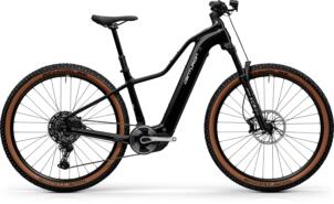 Centurion Backfire Fit R1000 Hardtail – Hauptansicht