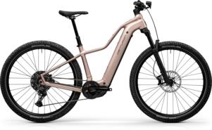 Centurion Backfire Fit R1000 – Bild 3