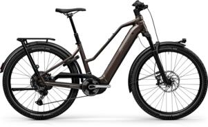 Centurion Country R2000 T – Bild 6
