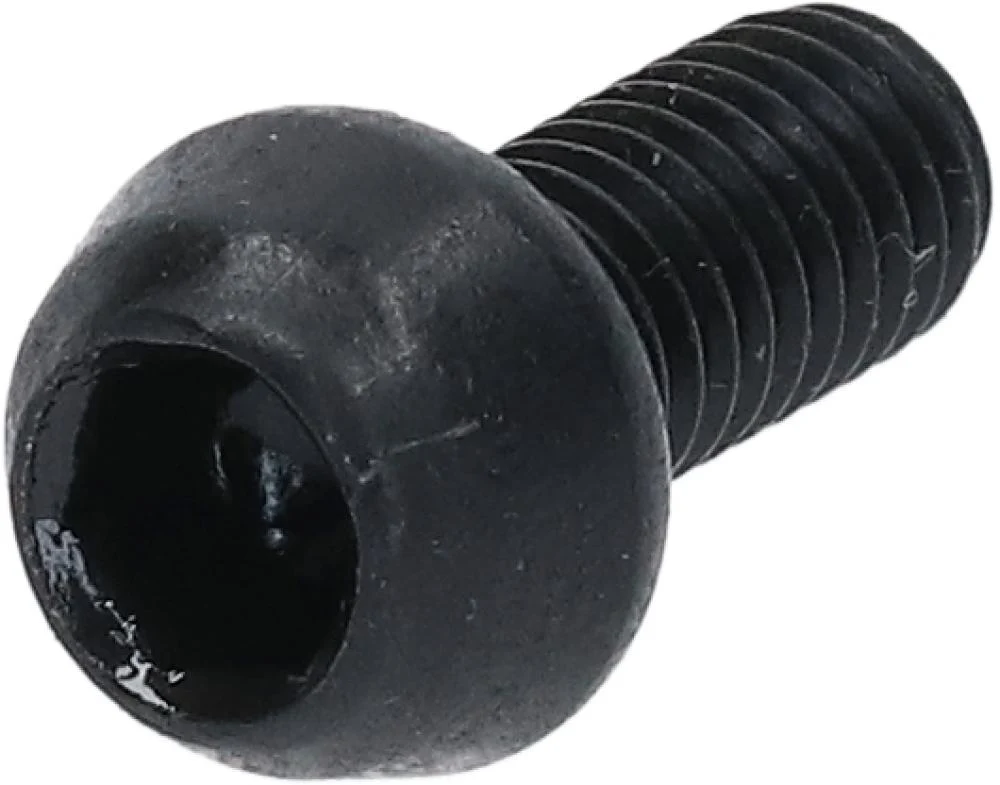 Shimano SHIMANO Befestigungsschraube SM-CD800 - Y1X916000, ca. 5 g
