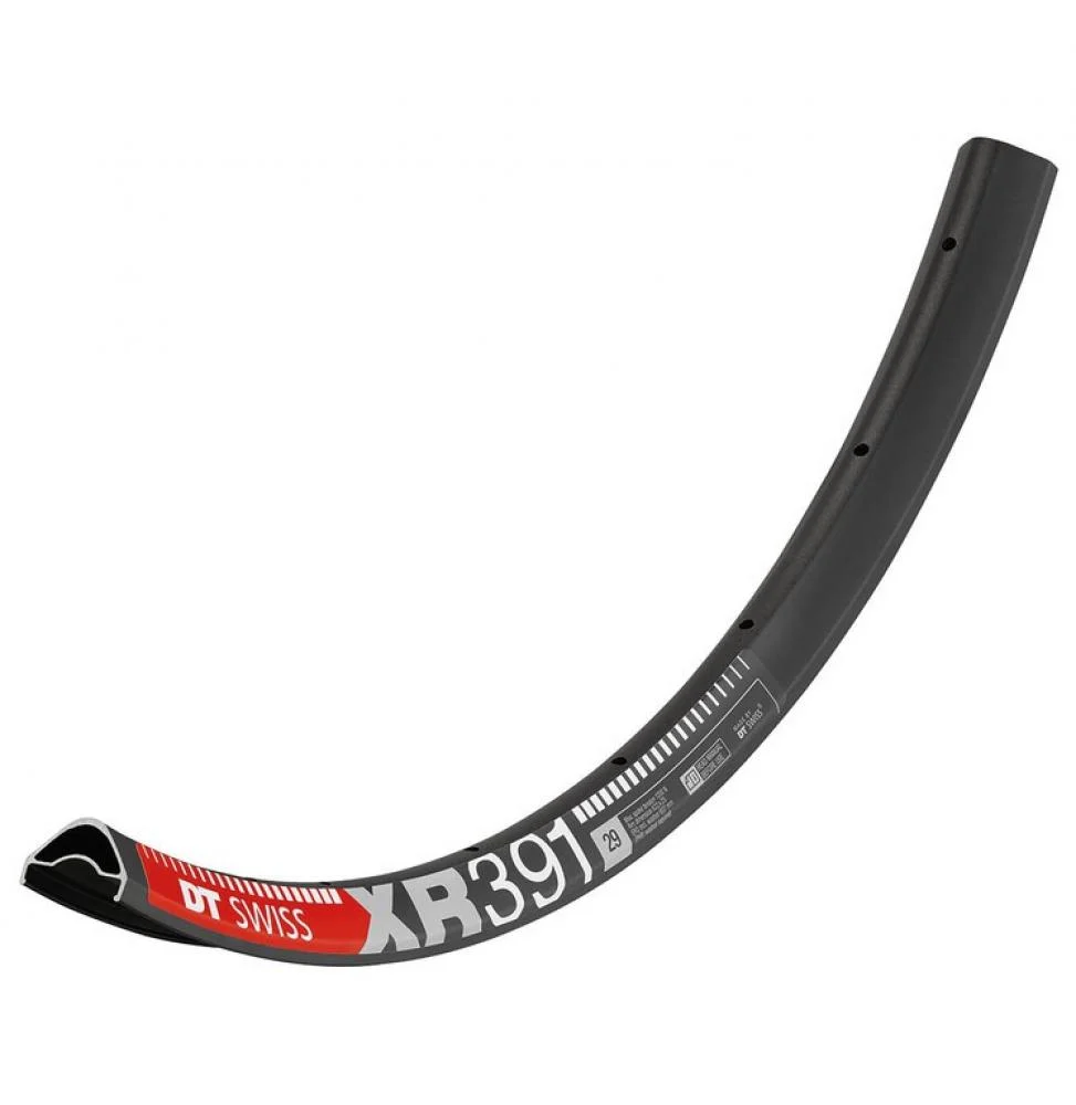 DT Swiss DT Swiss Felge XR 391 29" 28 Loch Schwarz