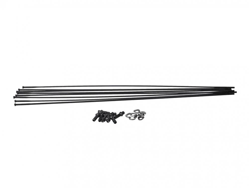 DT Swiss Speichenkit für PR1400 DICUT VR/HR 21 mm schwarz – Hauptansicht