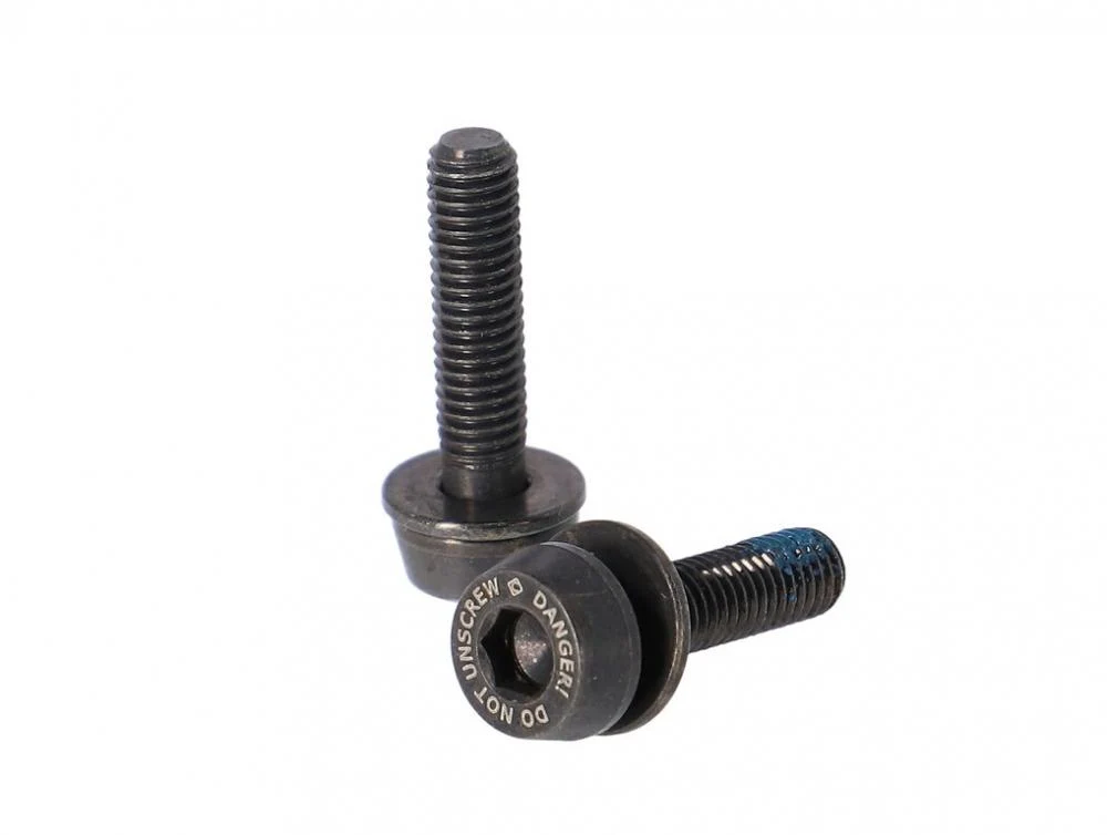 Campagnolo Campagnolo Schrauben H11 (Scheibenbr.) AC18-DBSC19,2x19mm f.10-14mm hinten