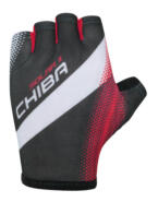 Chiba Solar II