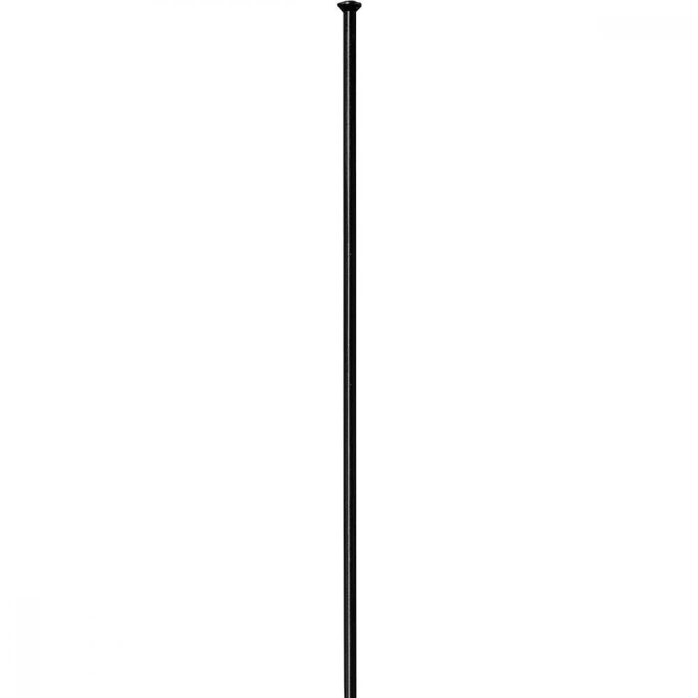 DT Swiss DT Swiss Speiche Competition 2.0 / 1.8 Straightpull 290 mm schwarz