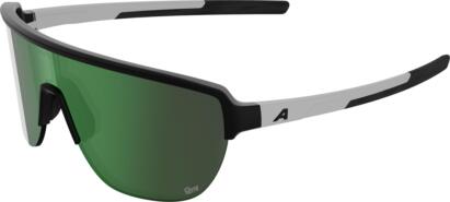 Alpina RAM 2.0 Q-LITE