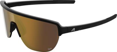 Alpina RAM 2.0 Q-LITE