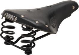 Brooks Saddle Flyer